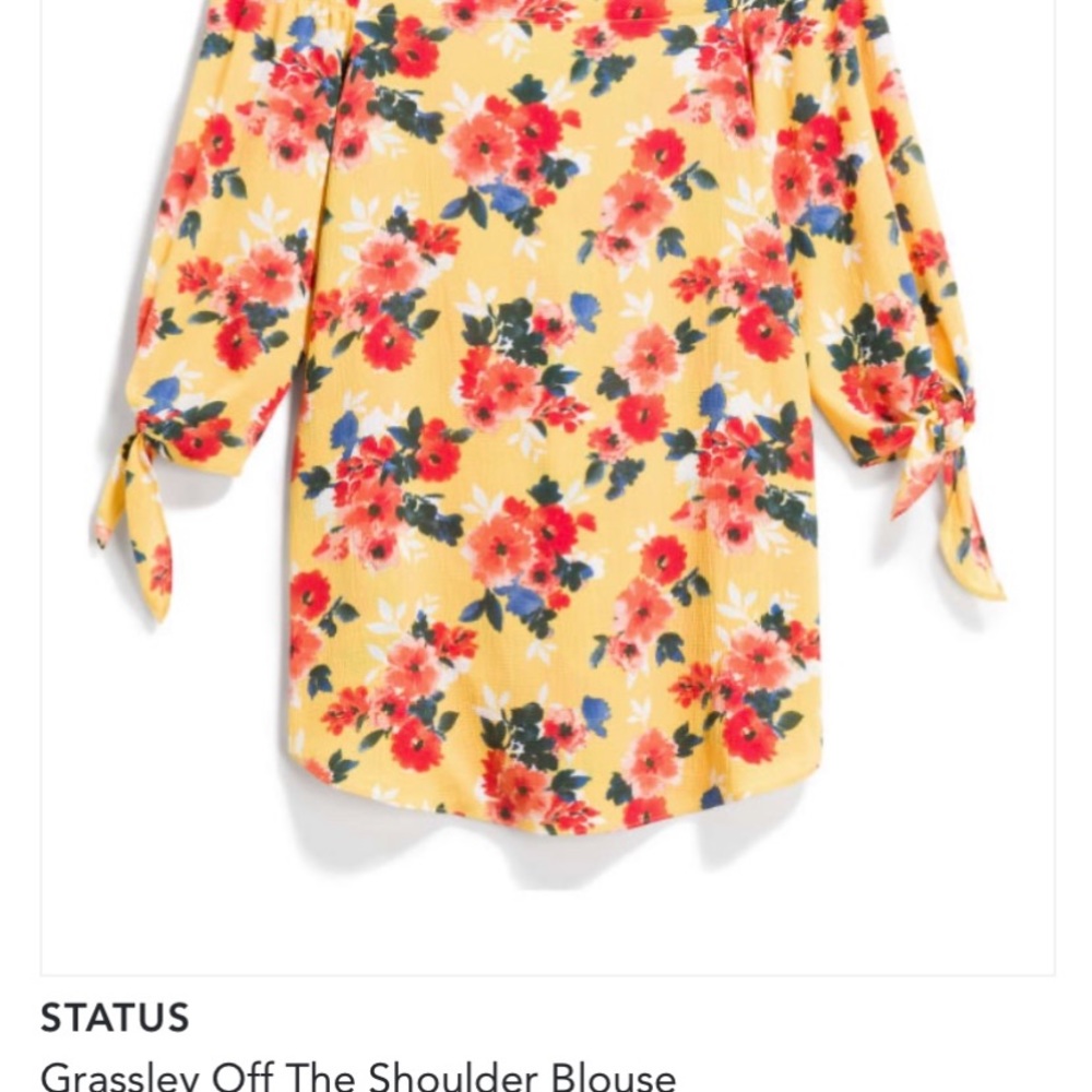 Status off shoulder blouse